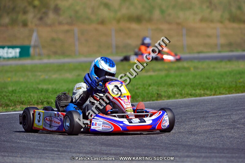 DSC_ (1332).jpg